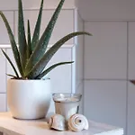 Moderne, Gemuetliche Dg-wohnung In Ruhiger Lage Lejlighed Neunburg vorm Wald