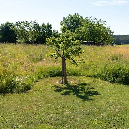 Moderne, Gemuetliche Dg-wohnung In Ruhiger Lage Neunburg vorm Wald